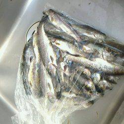 良心的な釣り場で　毎年行きます～